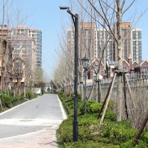 监控杆